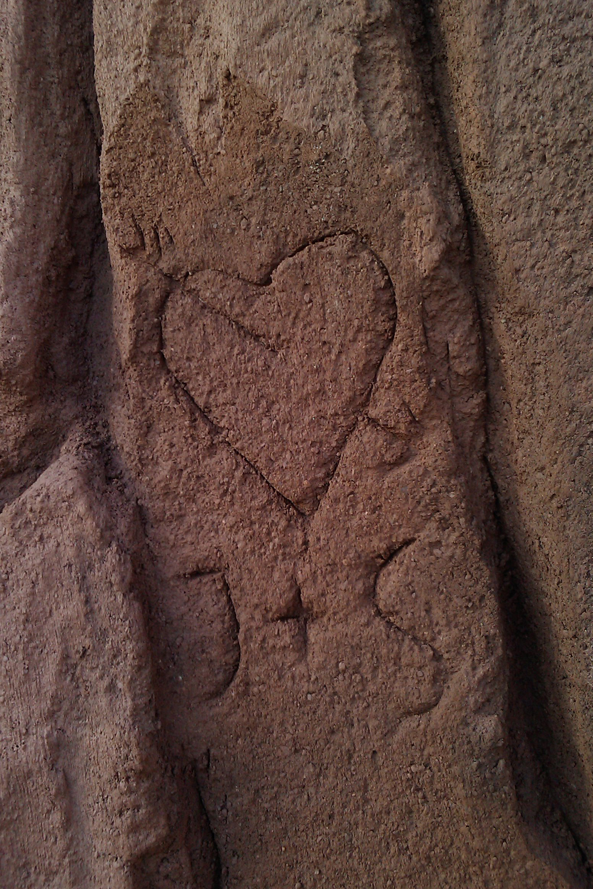 Strukturdetail Rinde mit Inschrift